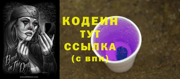 2c-b Надым