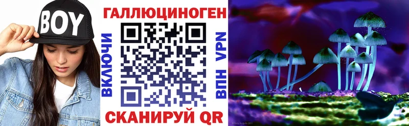 как найти Пошехонье Галлюциногенные грибы ЛСД